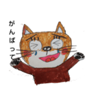 柴  猫君（個別スタンプ：23）