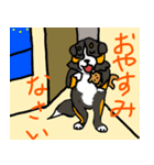 バーニーズのバニーくんステッカー（個別スタンプ：3）