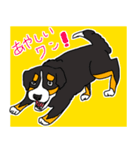 バーニーズのバニーくんステッカー（個別スタンプ：6）