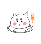 マロ眉メイク猫 日常の生活（個別スタンプ：1）