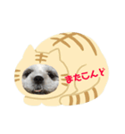 おすしの作品2（個別スタンプ：6）