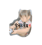 さらんの日常写真（個別スタンプ：1）