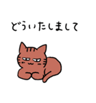 きじとら猫（個別スタンプ：12）