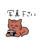 きじとら猫（個別スタンプ：13）