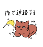 きじとら猫（個別スタンプ：15）