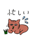 きじとら猫（個別スタンプ：17）