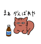 きじとら猫（個別スタンプ：26）