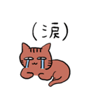 きじとら猫（個別スタンプ：37）