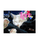 デカ猫クゥ2（個別スタンプ：2）