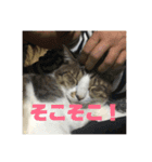 デカ猫クゥ2（個別スタンプ：3）