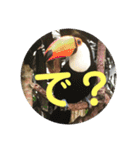 デカ猫クゥ2（個別スタンプ：16）
