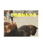 デカ猫クゥ2（個別スタンプ：20）