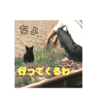 デカ猫クゥ2（個別スタンプ：23）