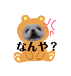 世界一可愛いポメラニアンのポメ吉くん♡（個別スタンプ：14）