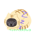 世界一可愛いポメラニアンのポメ吉くん♡（個別スタンプ：15）