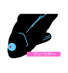 黒いシーラカンス アリーヤ（個別スタンプ：5）
