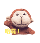 猿 タンタン（個別スタンプ：1）