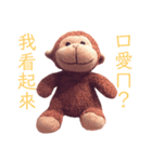 猿 タンタン（個別スタンプ：8）