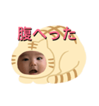 けいちゃんスタンプ①（個別スタンプ：6）