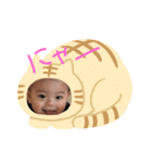 おかもとでーす（個別スタンプ：11）