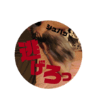 わたしエリマキです（個別スタンプ：4）