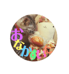 わたしエリマキです（個別スタンプ：7）