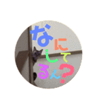 わたしエリマキです（個別スタンプ：11）