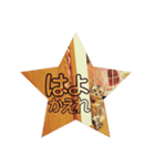 わたしエリマキです（個別スタンプ：14）