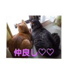 まはにゃんず（個別スタンプ：33）