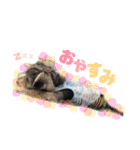 はぴさん（個別スタンプ：2）