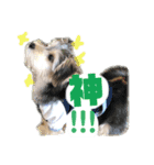 はぴさん（個別スタンプ：4）