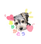 はぴさん（個別スタンプ：5）