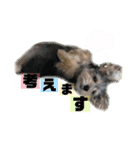 はぴさん（個別スタンプ：8）