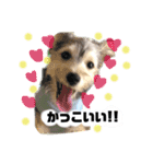 はぴさん（個別スタンプ：10）