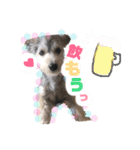 はぴさん（個別スタンプ：13）