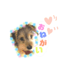 はぴさん（個別スタンプ：14）