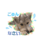 はぴさん（個別スタンプ：16）