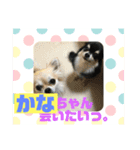 かなちゃんに送るスタンプ！！（個別スタンプ：6）