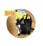 かなちゃんに送るスタンプ！！（個別スタンプ：7）