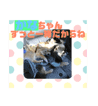 かなちゃんに送るスタンプ！！（個別スタンプ：10）