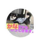 かなちゃんに送るスタンプ！！（個別スタンプ：12）