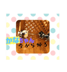 かなちゃんに送るスタンプ！！（個別スタンプ：13）