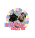 かなちゃんに送るスタンプ！！（個別スタンプ：14）