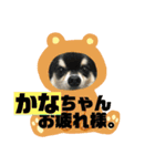 かなちゃんに送るスタンプ！！（個別スタンプ：15）