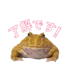 みんなのカエルスタンプ（個別スタンプ：1）