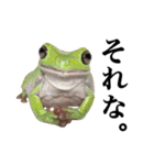 みんなのカエルスタンプ（個別スタンプ：4）