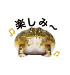 みんなのカエルスタンプ（個別スタンプ：8）