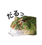 みんなのカエルスタンプ（個別スタンプ：20）