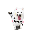 おスピくんとひつじちゃん（個別スタンプ：9）