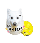 おスピくんとひつじちゃん（個別スタンプ：11）